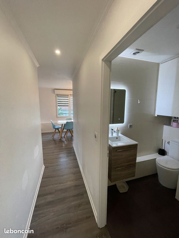 Appartement a louer schiltigheim - 2 pièce(s) - 44 m2 - Surfyn