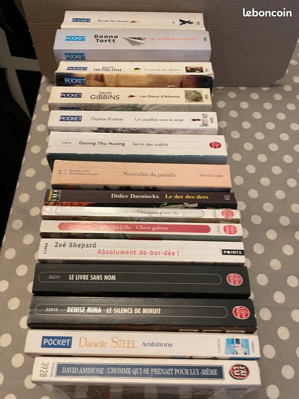 Lot n° 5 Lot de livres romans et divers (image 8)
