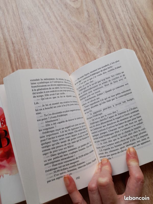 Lot 2 livres Josée Bournival (image 7)