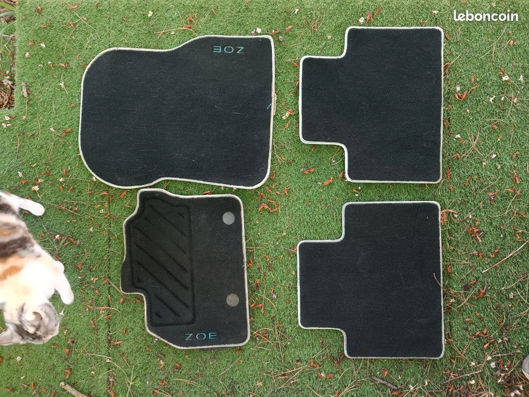 Tapis pour Renault Zoë 2019 - 2025 | Caoutchouc et moquette