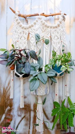 Lot De 5 Suspensions Macramé Pour Plantes, Fait Main, Style Bohème
