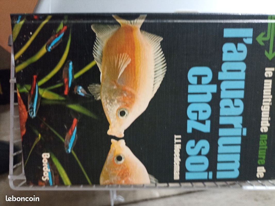 Livres des poissons un grand et un petit (image 4)