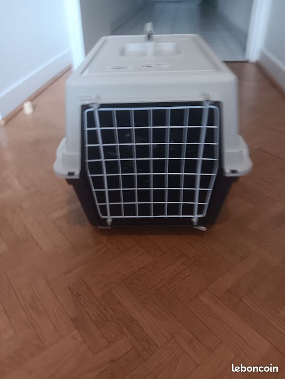 Vends caisse de transport pour chat (image 1)