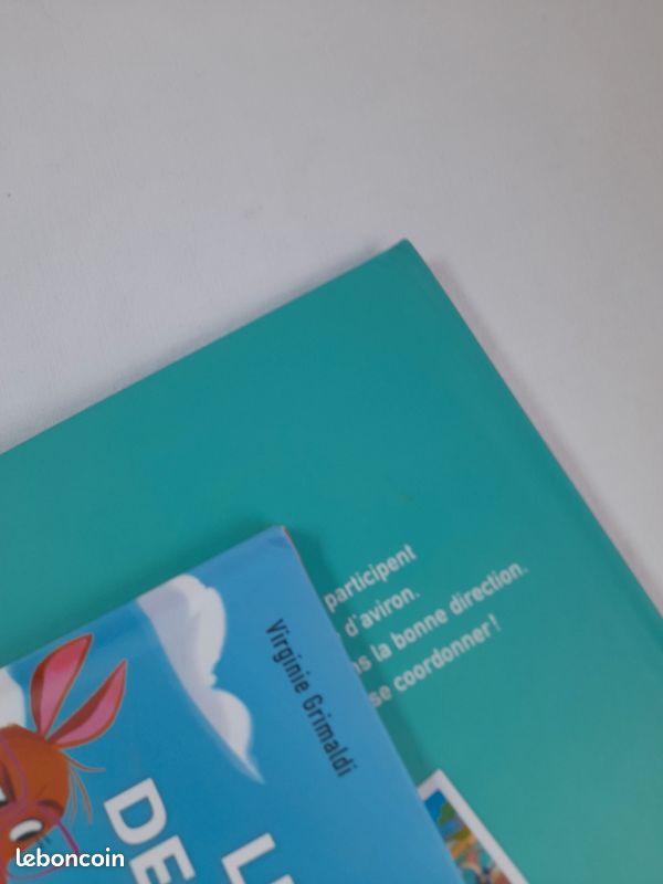 Lot de 2 livres de Virginie Grimaldi "Esprit Sportif " (image 12)