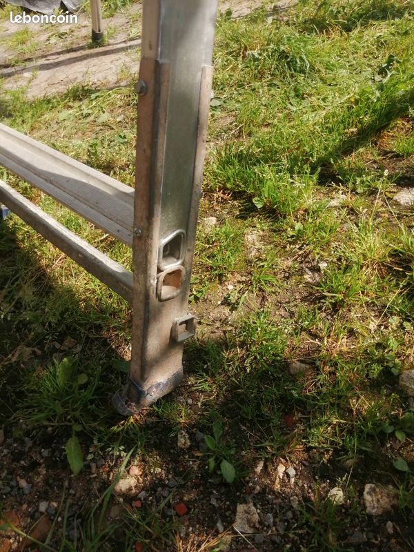 Gazelle Duarib (image 3)