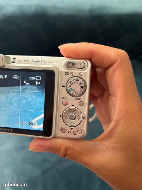 Sony DSC W150 (image 5)
