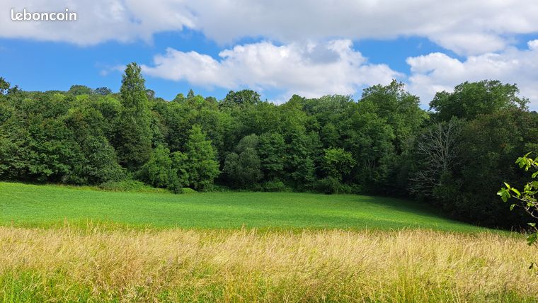 Terrain avec vue sur la forêt