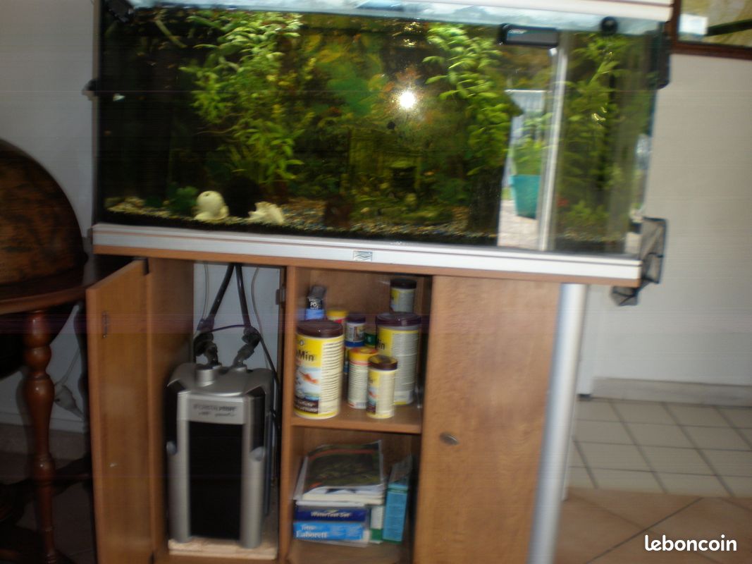 Aquarium (image 2)