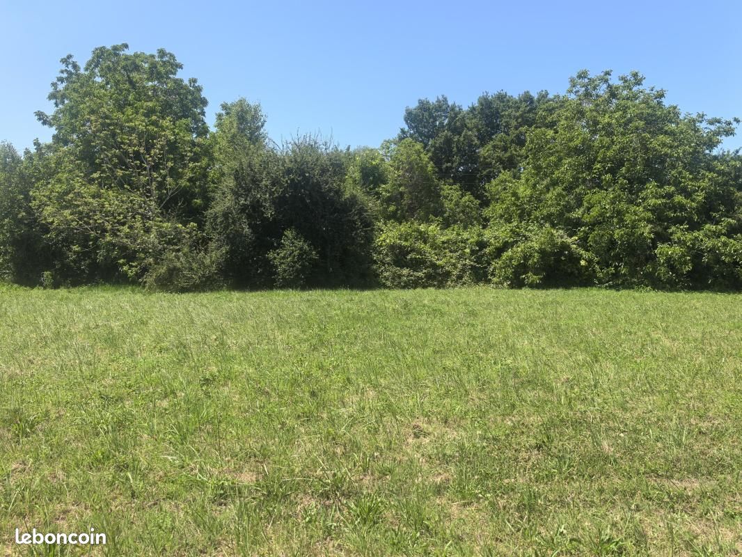 Terrain 517 m² Noe (image 3)