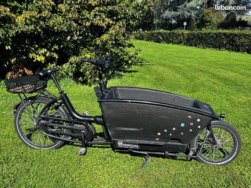 Vélo cargo Urban Arrow Family (image 4)