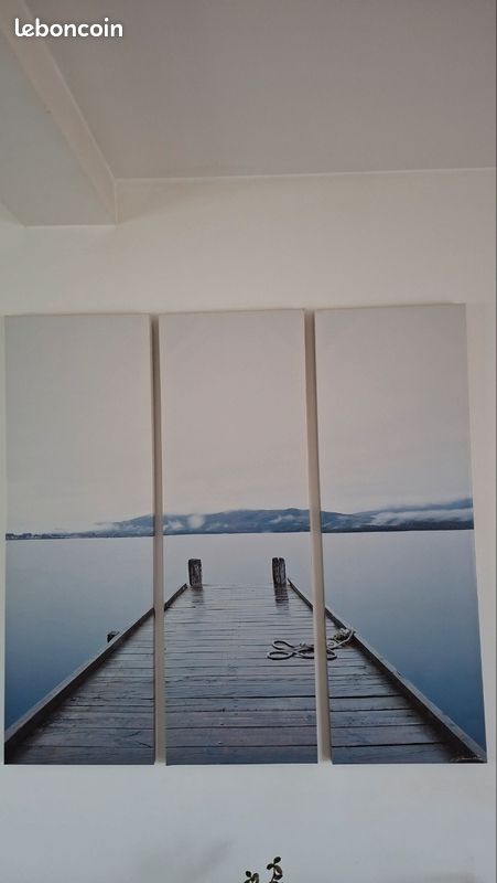 Photos Guillaume Plisson (image 2)