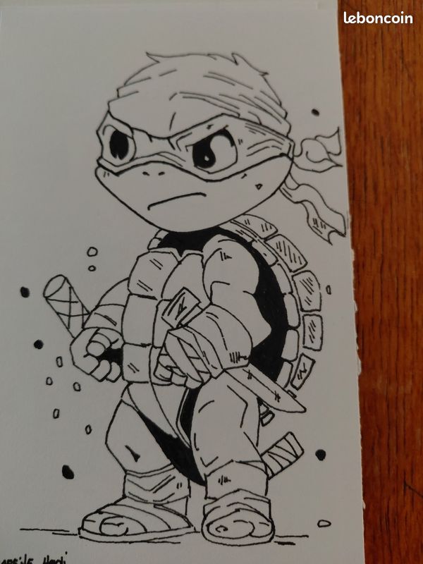 Les tortues ninja (image 4)