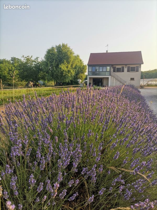 Maison 6 pièces 101 m² · à Ouroux-sur-Saône · 101 m² · 200 000 €