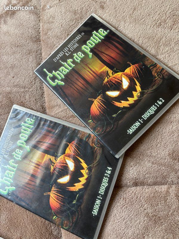 Lot DVD Chair de Poule - Intégrales saisons 1 & 2 📼👻 (image 7)