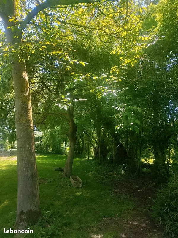 Terrain en zone naturelle · à Mauges-sur-Loire · 15 000 €