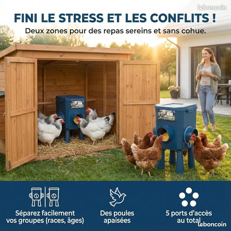 Lot De 2 Mangeoires Automatiques Pour Poulet Avec Chaînes - Accessoires Pour Poules, Canards Et Oiseaux