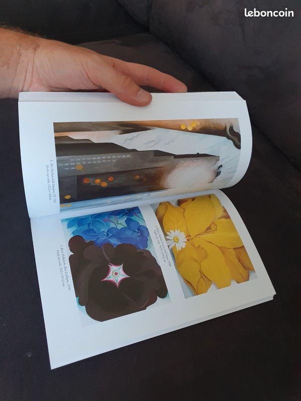Georgia O'Keeffe, une icône américaine - Garraut, Marie (image 6)