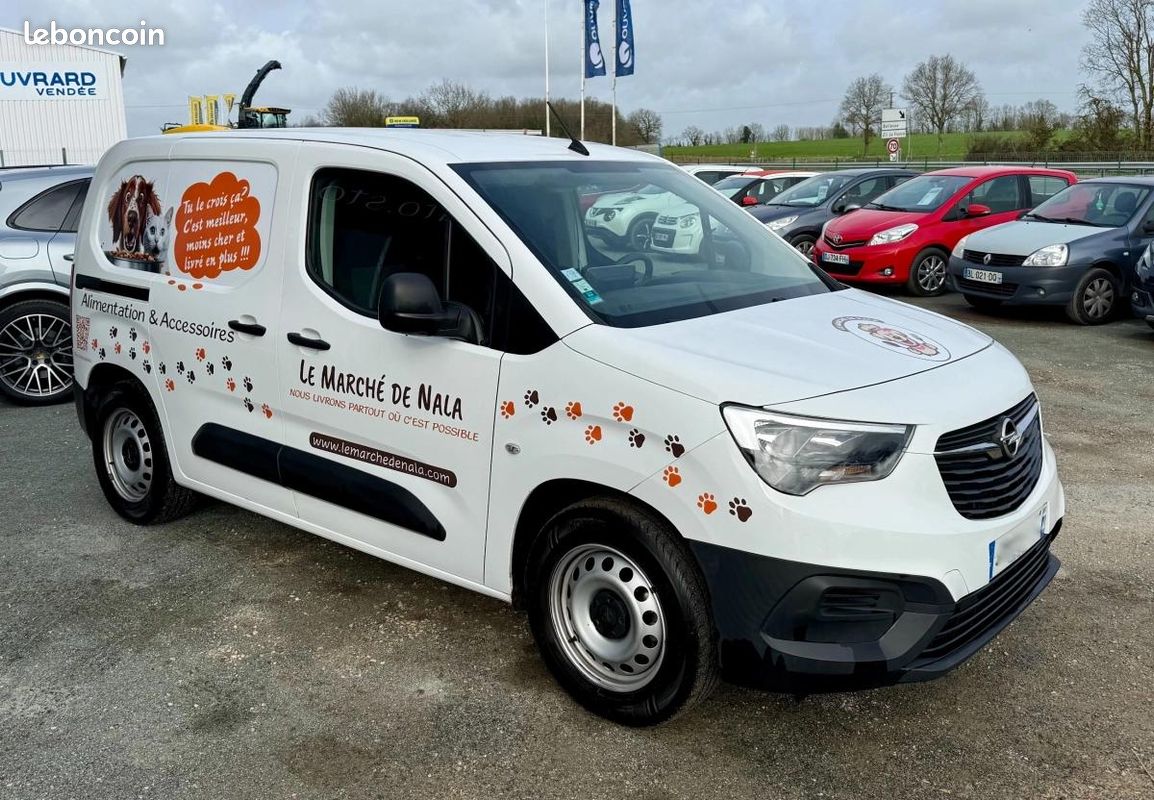 Opel Combo Vu FOURGON 1.6 CDTI 100 L1H1 TVA Récupérable Garantie 12 Mois (image 7)