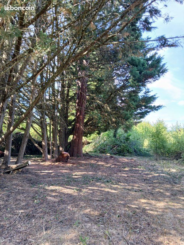 Terrain arboré constructible de 3090 m2 à Charbuy · 65 000 €