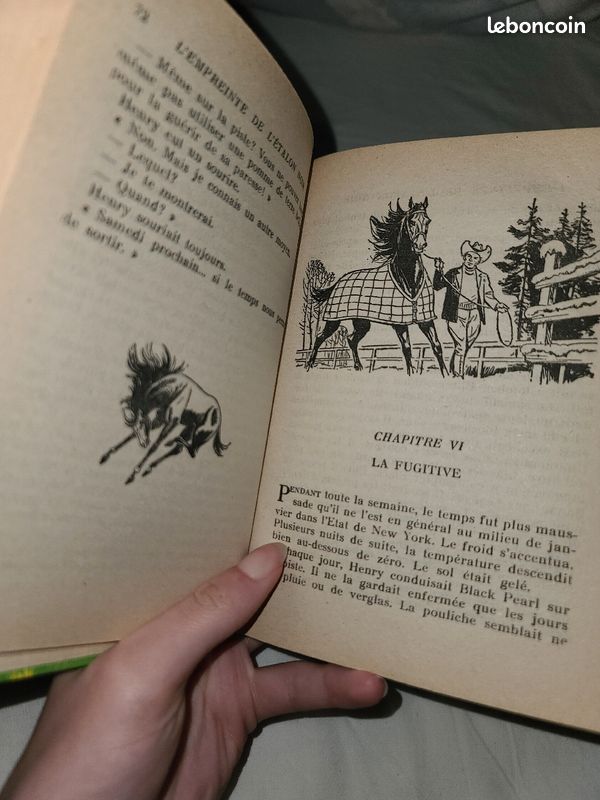 Lot 3 livres l'Étalon noir (L'empreinte, La légende, Un rival pour l'étalon noir) (image 6)