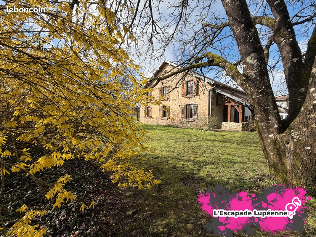 Maison 6 pièces 325 m² · à Saint-Loup-sur-Semouse · 325 m² · 304 500 €