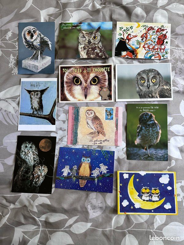 Lot cartes postales Hiboux Chouettes (image 1)