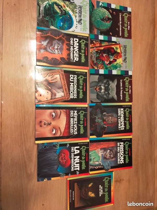 Livres chair de poule (image 2)