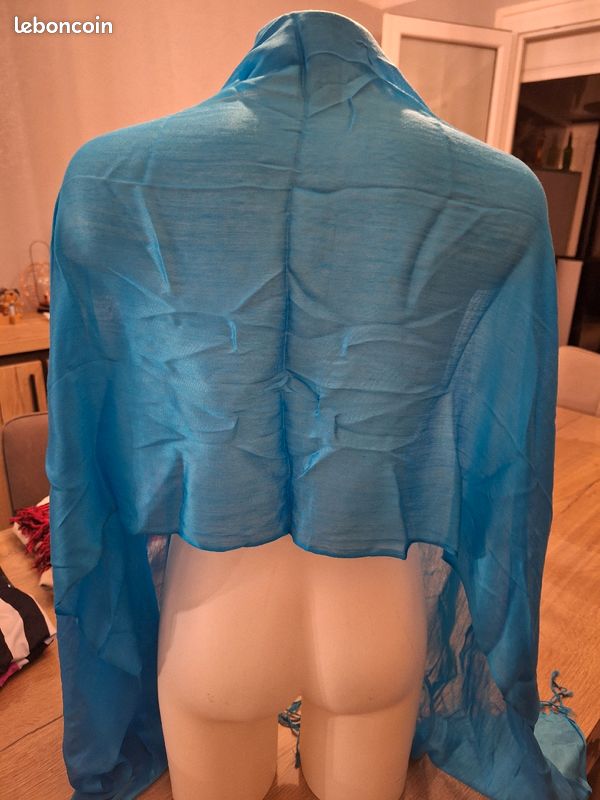 Etole bleue (image 2)