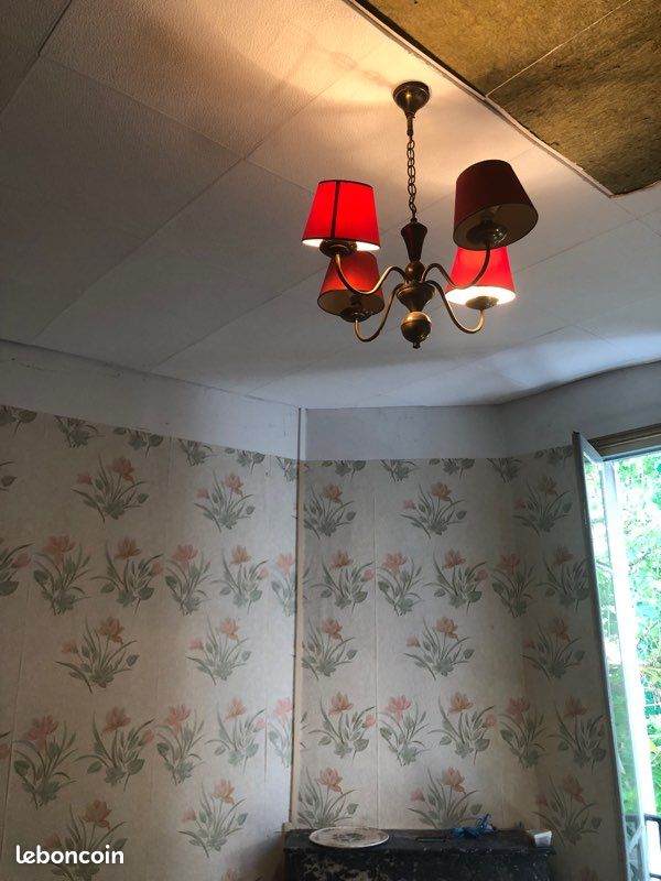 Vide maison vide garage démenagement (image 4)
