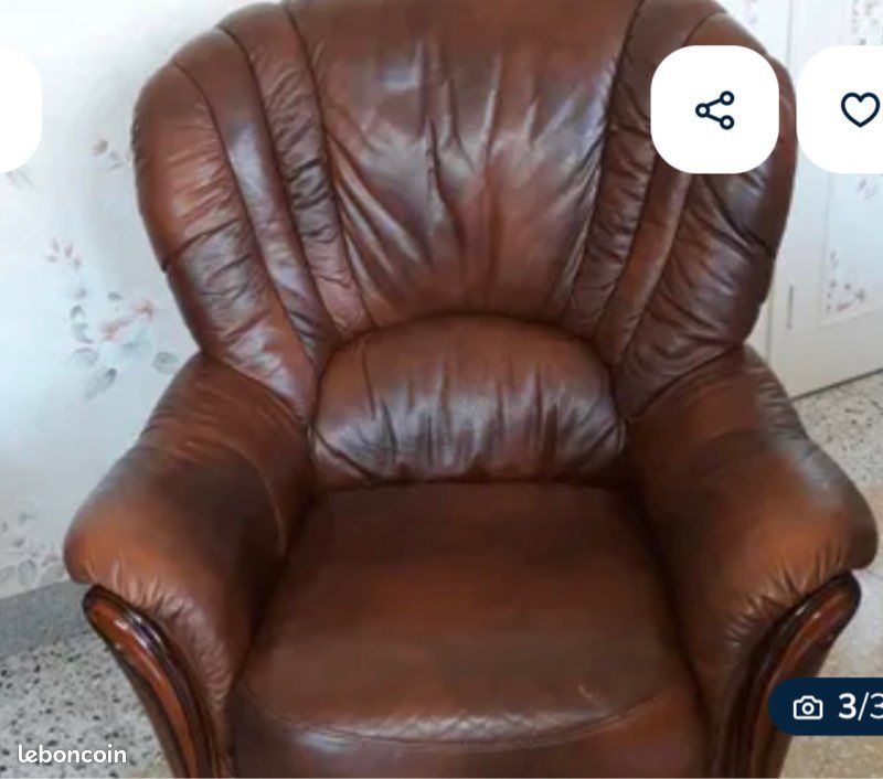 Fauteuil et Canapé en cuir de buffle (image 3)