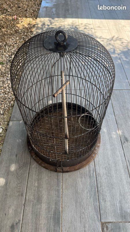 Cage oiseaux (image 3)