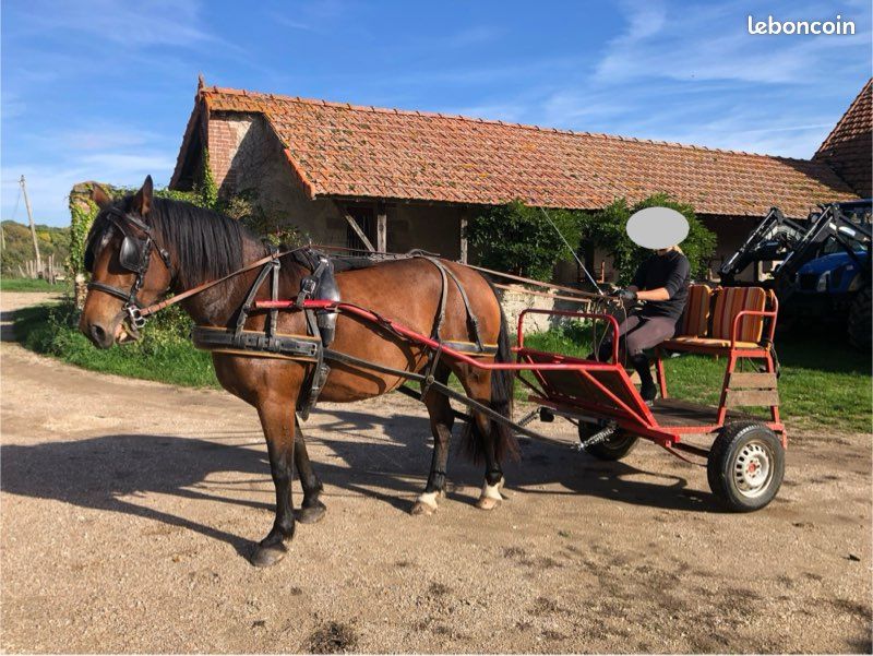 JOUET ANCIEN ATTELAGE en bois .CHARRETTE À Boeufs EUR 25,00 - PicClick FR