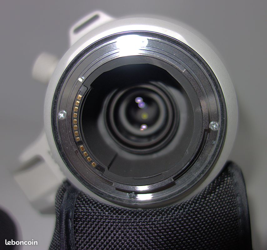 CANON RF200-800 mm F6.3-9 IS USM (image 7)