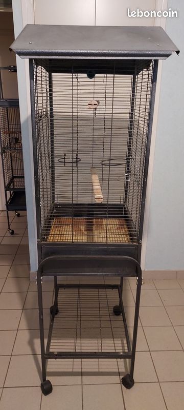 Cage perroquet ou autre (image 1)