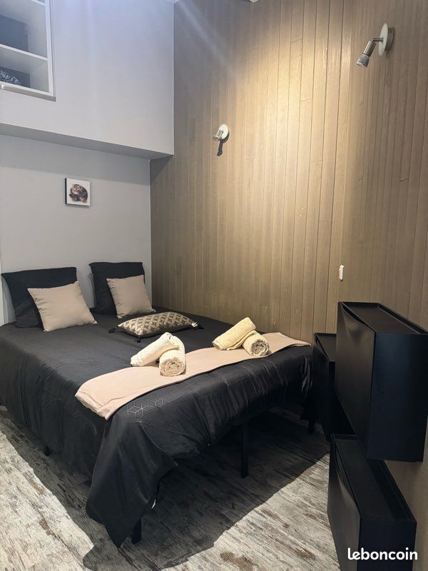 Appartement cœur triangle d’or (image 7)