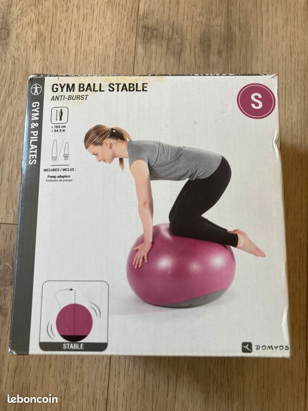 Gym ball stable (image 1)