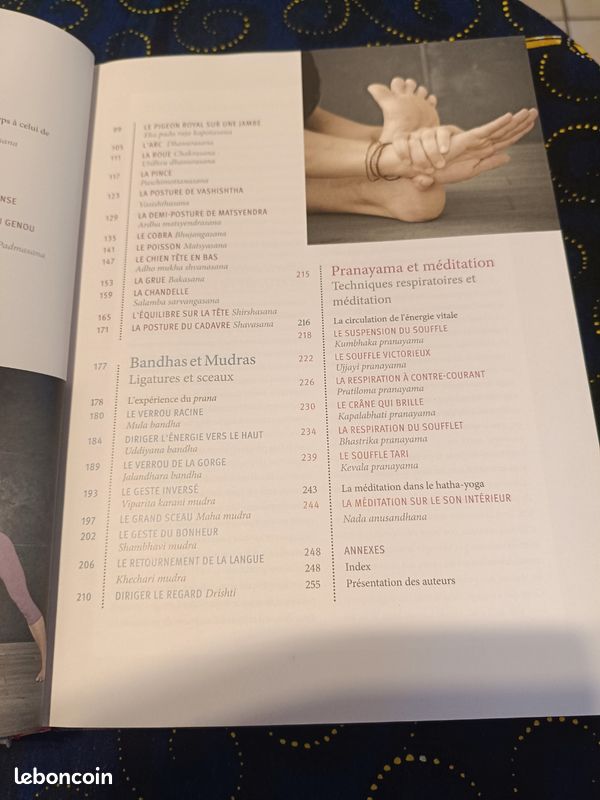Yoga perfectionnement (image 6)