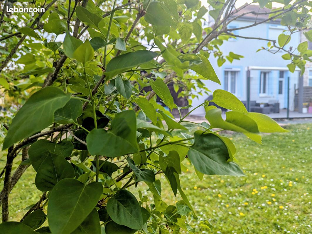 Maison 4 pièces 80 m² · à Dole · 80 m² · 179 000 €