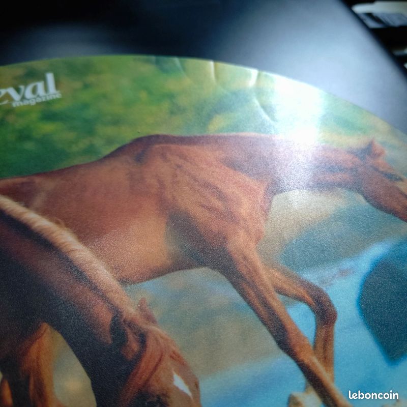 Tapis de souris Cheval Mag (image 3)