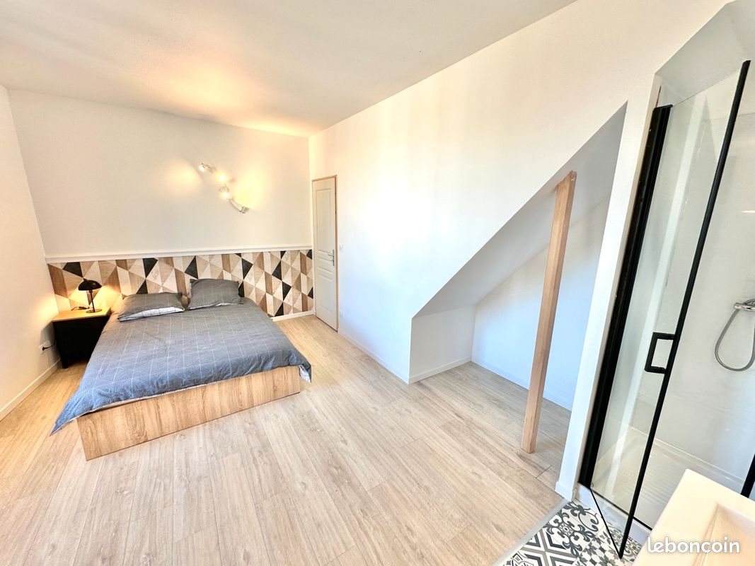 Chambre avec salle d'eau privée – coloc 200 m² avec jardin – ESTHUA / gare Saumur (image 5)