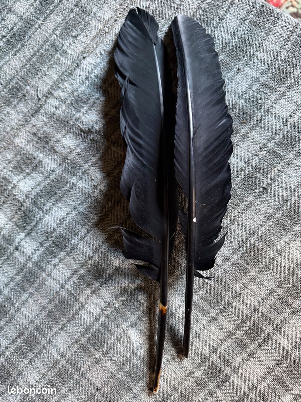 Plumes à chapeau 1930 Bordeaux boudoir couture textile ancien - Accessoires & Bagagerie