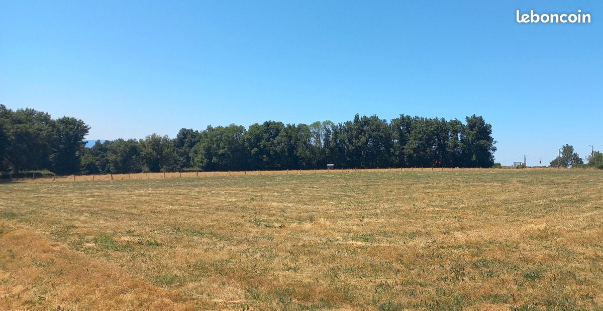 Terrain 1274 m² · à Pradines · 1 274 m² · 75 000 €