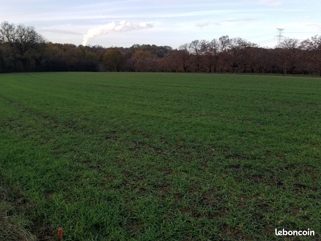 TERRAIN de 2001m2 : voyez plus grand au même prix · à Asques · 29 800 €