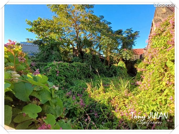 Terrain 179 m² Basse Terre