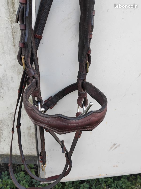 Bridon muserolle combinée cuir - Bridon cheval - Le Paturon