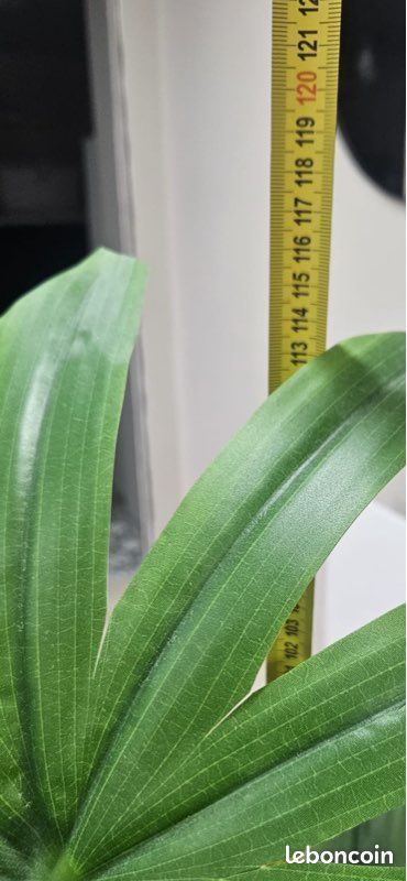 Plantes artificielles (image 4)