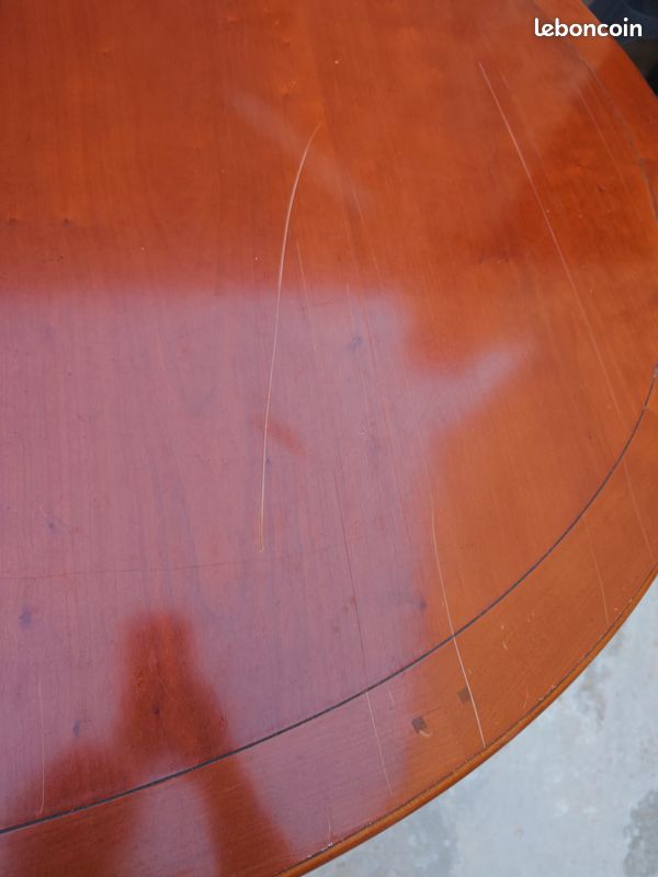 Table + chaises (image 3)