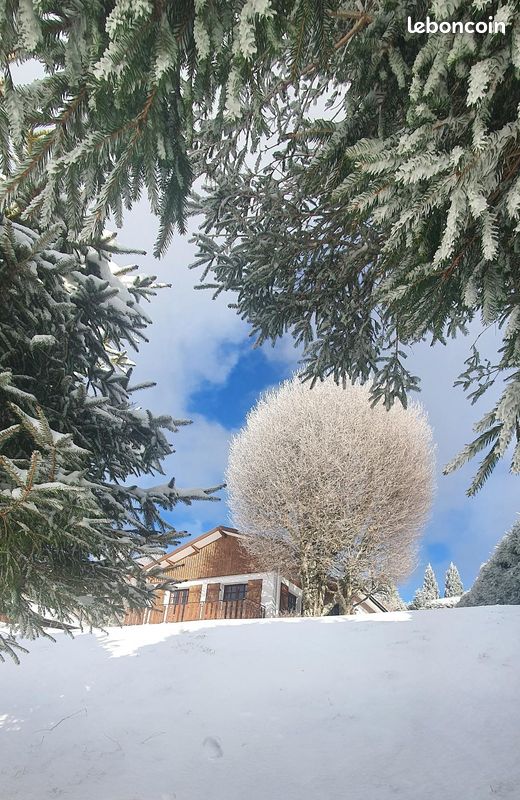 Chalet de montagne 4* GERARDMER 6 personnes (image 2)