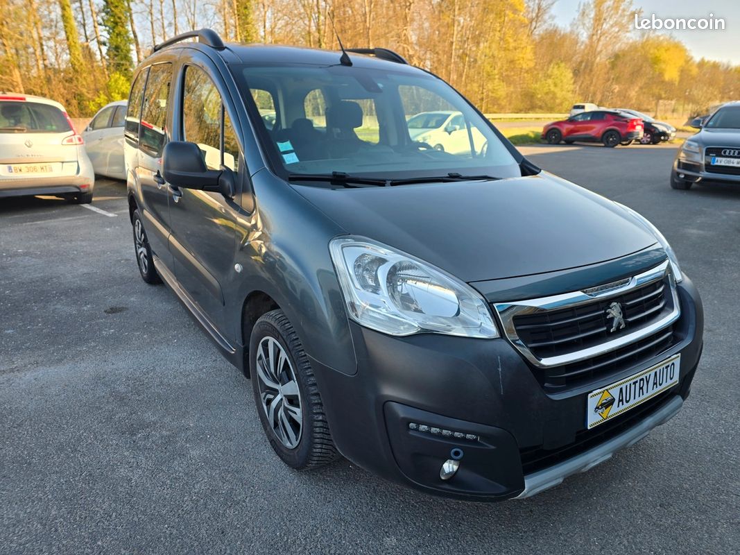 Peugeot Partner Tepee 1.6 hdi 100cv (image 4)