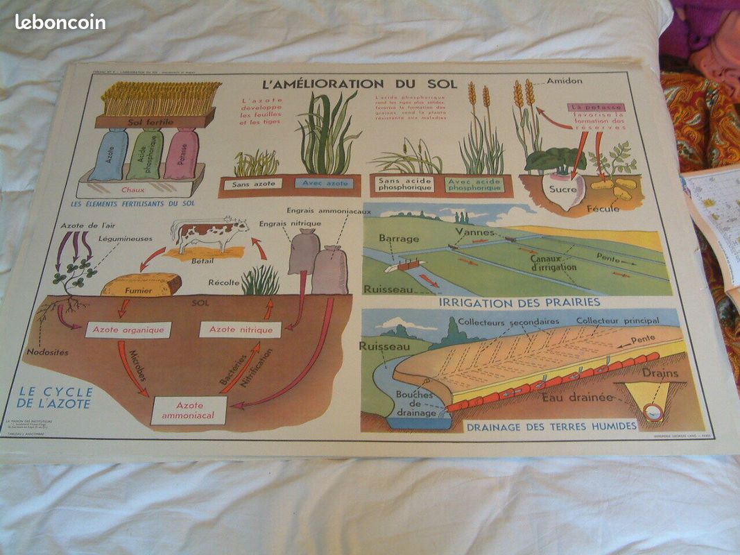 Ancienne affiche d ecole mdi double face charrues et labours & sol (image 2)
